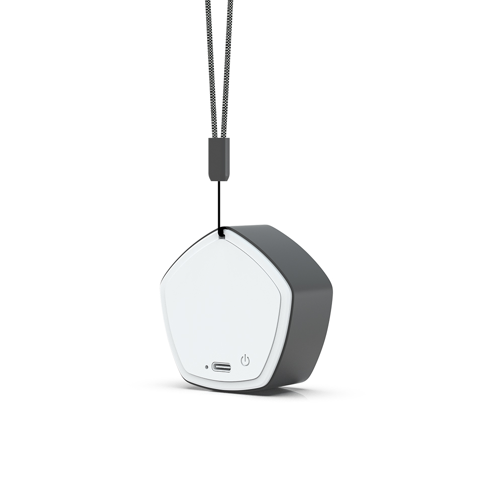 Portable Audio System